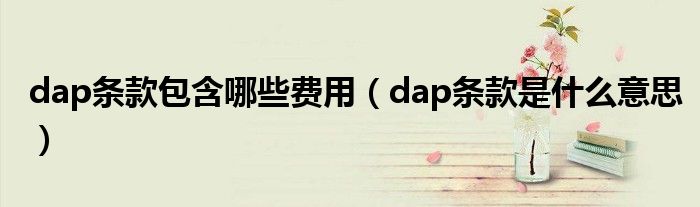 dap条款包含哪些费用（dap条款是什么意思）