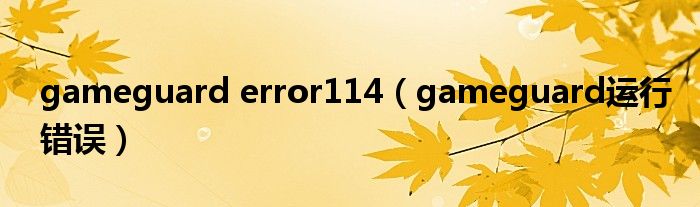 gameguard error114（gameguard运行错误）