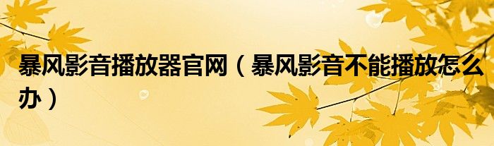 暴风影音播放器官网（暴风影音不能播放怎么办）