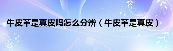牛皮革是真皮吗怎么分辨（牛皮革是真皮）