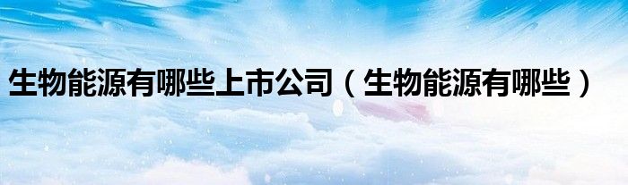 生物能源有哪些上市公司（生物能源有哪些）