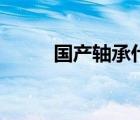 国产轴承什么牌子好（国产轴承）