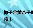 梅子金黄杏子肥全诗拼音（梅子金黄杏子肥全诗）