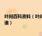 叶问百科资料（叶问真名刘叶琳资料微博三围比基尼老公是谁）