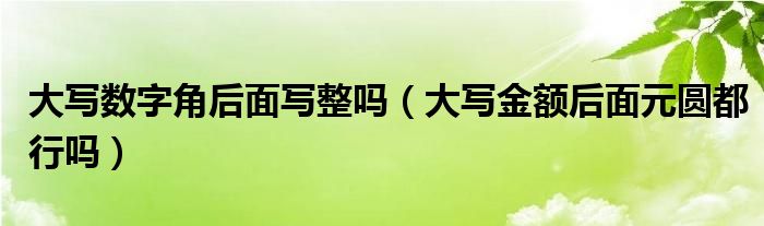 大写数字角后面写整吗（大写金额后面元圆都行吗）