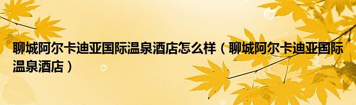 聊城阿尔卡迪亚国际温泉酒店怎么样（聊城阿尔卡迪亚国际温泉酒店）