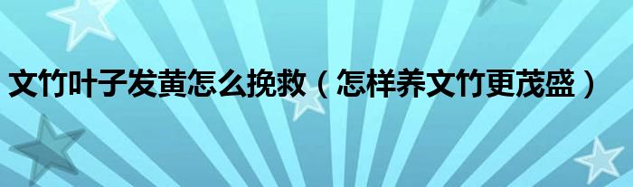 文竹叶子发黄怎么挽救（怎样养文竹更茂盛）