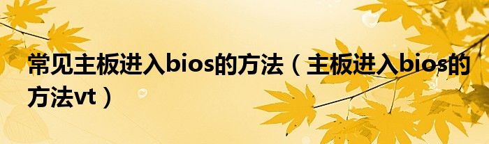 常见主板进入bios的方法（主板进入bios的方法vt）
