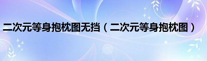 二次元等身抱枕图无挡（二次元等身抱枕图）