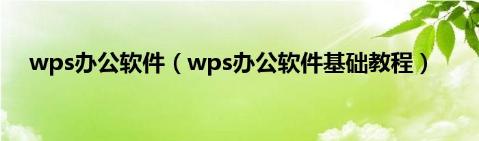 wps办公软件（wps办公软件基础教程）