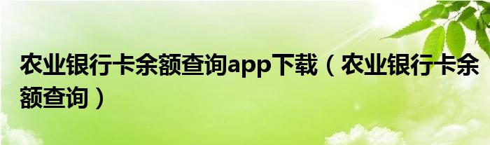 农业银行卡余额查询app下载（农业银行卡余额查询）