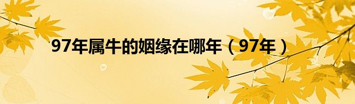 97年属牛的姻缘在哪年（97年）