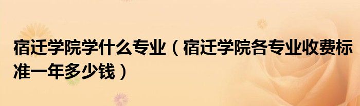 宿迁学院学什么专业（宿迁学院各专业收费标准一年多少钱）