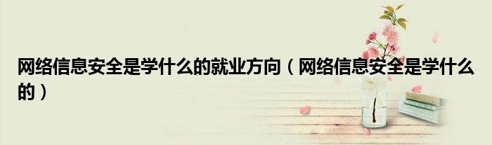 网络信息安全是学什么的就业方向（网络信息安全是学什么的）