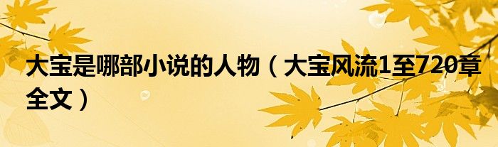 大宝是哪部小说的人物（大宝风流1至720章全文）