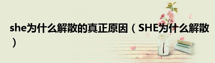 she为什么解散的真正原因（SHE为什么解散）
