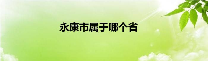 永康市属于哪个省