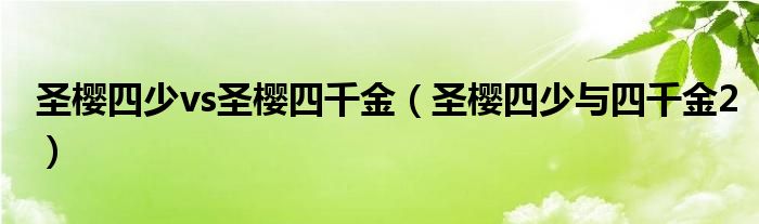 圣樱四少vs圣樱四千金（圣樱四少与四千金2）