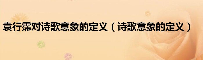袁行霈对诗歌意象的定义（诗歌意象的定义）
