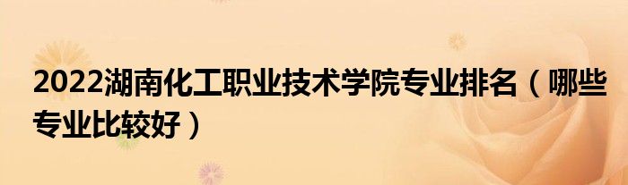 2022湖南化工职业技术学院专业排名（哪些专业比较好）
