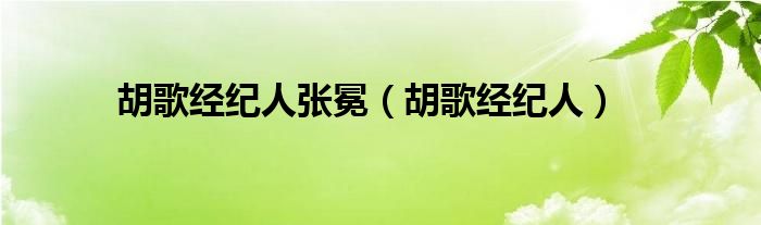 胡歌经纪人张冕（胡歌经纪人）