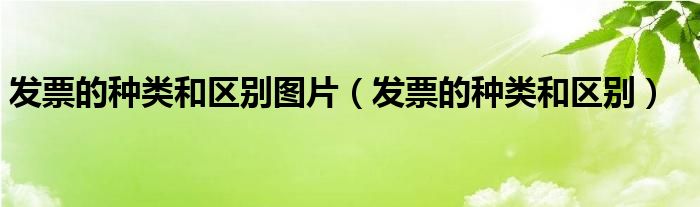 发票的种类和区别图片（发票的种类和区别）
