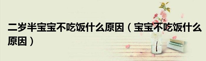 二岁半宝宝不吃饭什么原因（宝宝不吃饭什么原因）