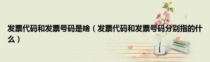发票代码和发票号码是啥（发票代码和发票号码分别指的什么）