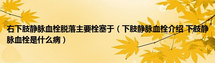 右下肢静脉血栓脱落主要栓塞于（下肢静脉血栓介绍 下肢静脉血栓是什么病）
