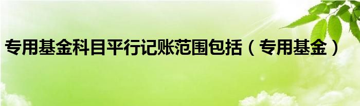 专用基金科目平行记账范围包括（专用基金）