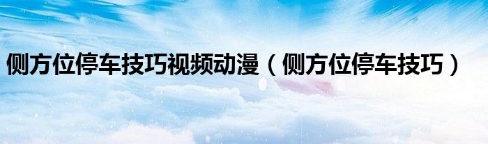 侧方位停车技巧视频动漫（侧方位停车技巧）