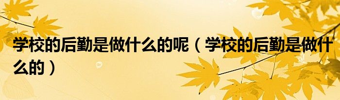 学校的后勤是做什么的呢（学校的后勤是做什么的）