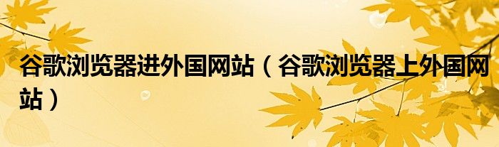 谷歌浏览器进外国网站（谷歌浏览器上外国网站）