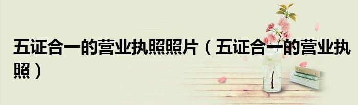 五证合一的营业执照照片（五证合一的营业执照）