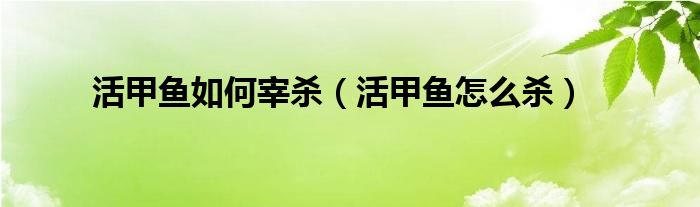 活甲鱼如何宰杀（活甲鱼怎么杀）