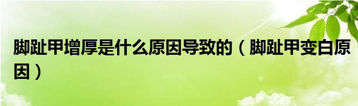 脚趾甲增厚是什么原因导致的（脚趾甲变白原因）