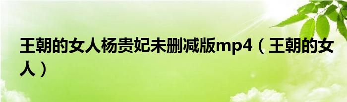 王朝的女人杨贵妃未删减版mp4（王朝的女人）