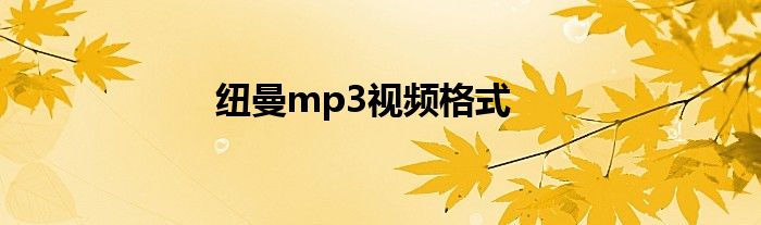 纽曼mp3视频格式