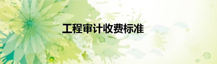 工程审计收费标准