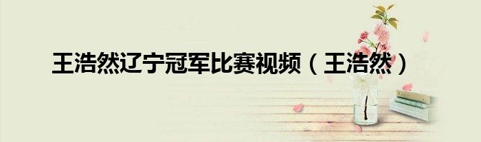 王浩然辽宁冠军比赛视频（王浩然）