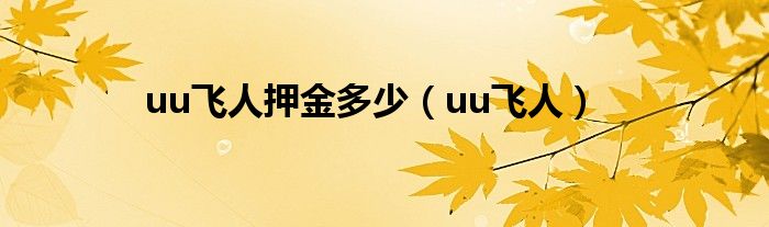 uu飞人押金多少（uu飞人）