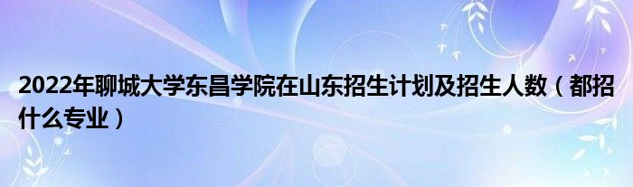 2022年聊城大学东昌学院在山东招生计划及招生人数（都招什么专业）