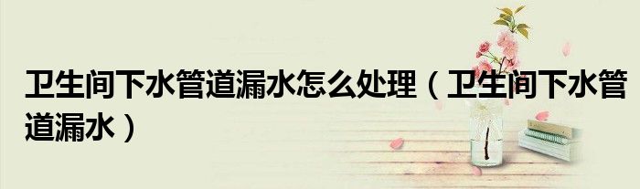 卫生间下水管道漏水怎么处理（卫生间下水管道漏水）