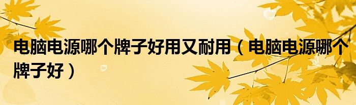 电脑电源哪个牌子好用又耐用（电脑电源哪个牌子好）
