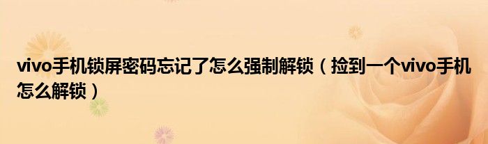 vivo手机锁屏密码忘记了怎么强制解锁（捡到一个vivo手机怎么解锁）