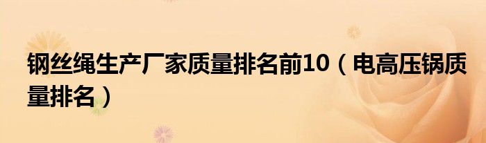 钢丝绳生产厂家质量排名前10（电高压锅质量排名）