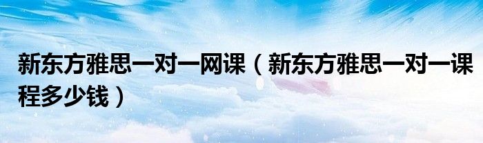 新东方雅思一对一网课（新东方雅思一对一课程多少钱）