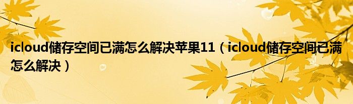 icloud储存空间已满怎么解决苹果11（icloud储存空间已满怎么解决）
