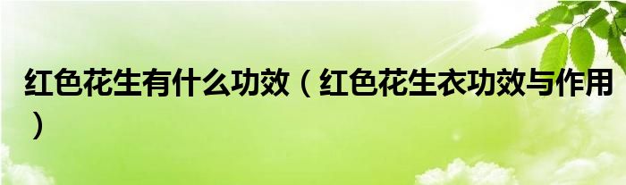 红色花生有什么功效（红色花生衣功效与作用）
