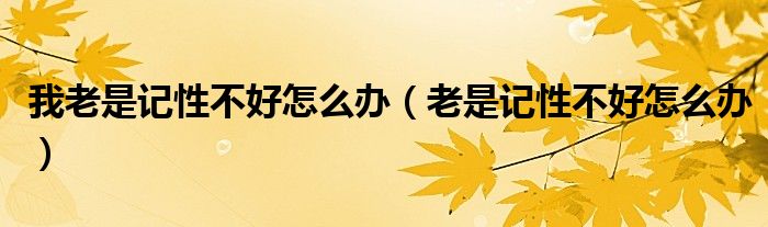 我老是记性不好怎么办（老是记性不好怎么办）